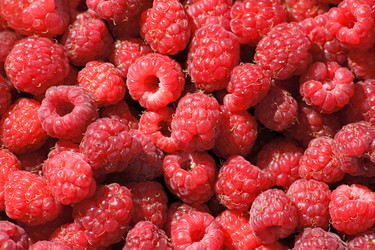 Similar image 839808