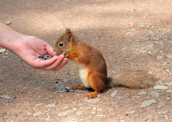 Similar image 839811