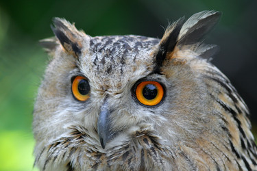 Similar image 839812