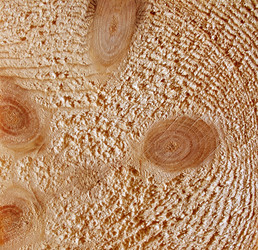 Similar image 839829