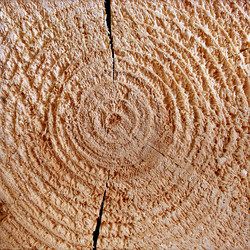 Similar image 839830