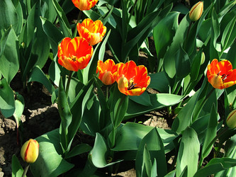 Similar image 839833