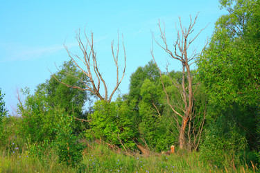 Similar image 839840