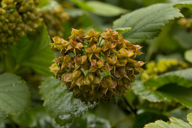 Similar image 839847