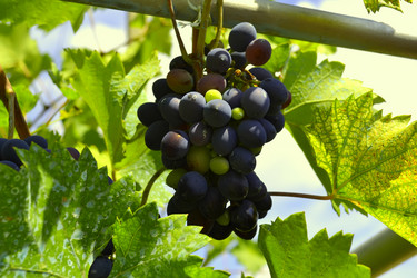 Similar image 839912