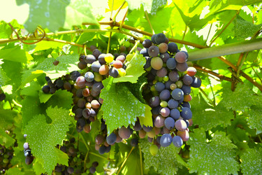 Similar image 839914