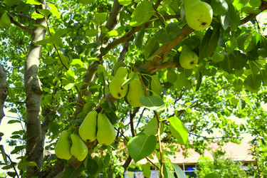 Similar image 839935