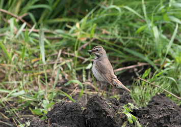 Similar image 839963