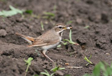 Similar image 839964