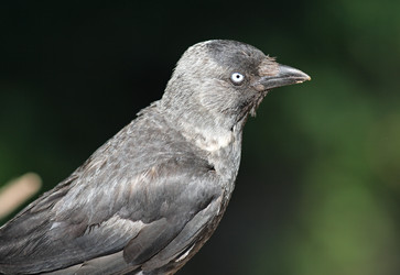 Similar image 839966