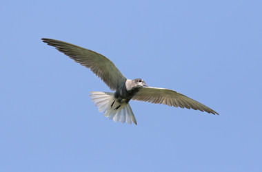 Similar image 839967