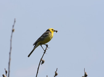 Similar image 839969