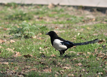 Similar image 839970