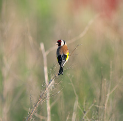 Similar image 839971