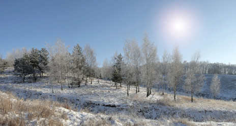 Similar image 839972