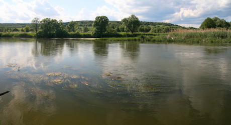 Similar image 840005