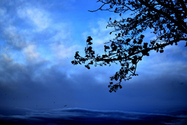 Similar image 840058