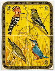 Similar image 840080