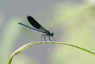 Similar image 840085