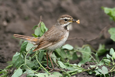 Similar image 840089