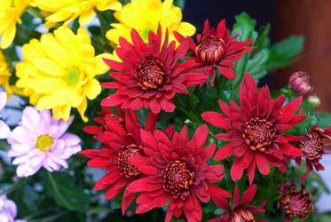 Similar image 840130