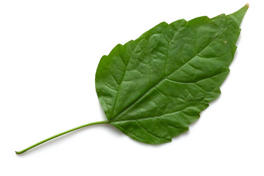 Similar image 840256