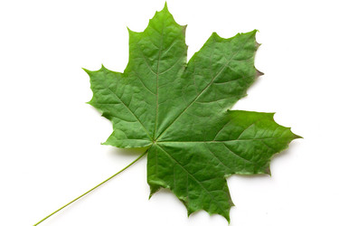 Similar image 840268