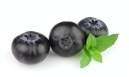 Similar image 840344