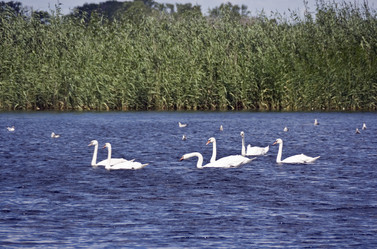 Similar image 840355