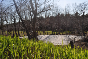 Similar image 840398