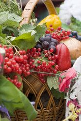 Similar image 840413