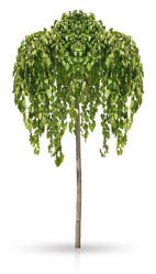 Similar image 840491