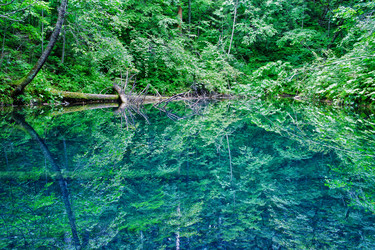 Similar image 840502