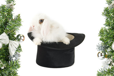 Similar image 840582