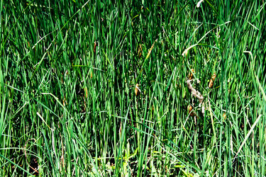 Similar image 840591