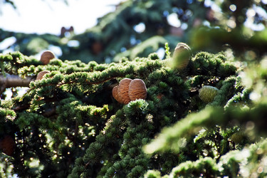 Similar image 840593