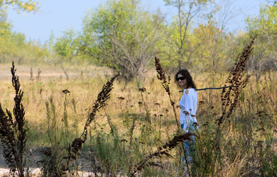 Similar image 840647