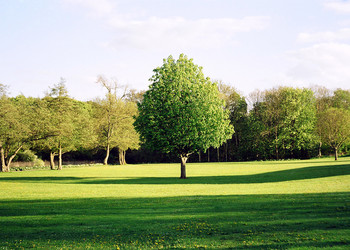 Similar image 840693