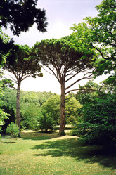 Similar image 840700