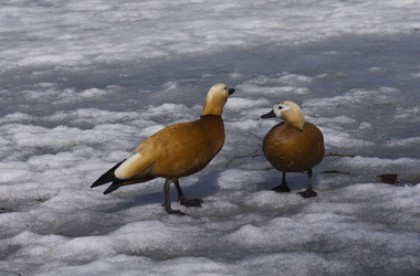 Similar image 840706