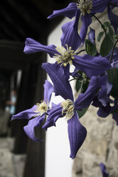 Similar image 840715