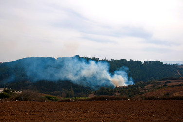 Similar image 840769