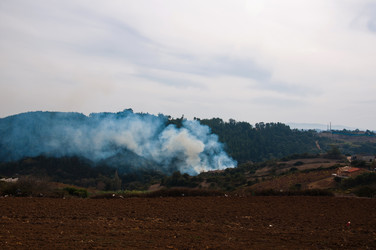 Similar image 840775