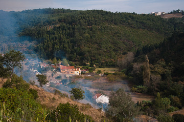 Similar image 840801