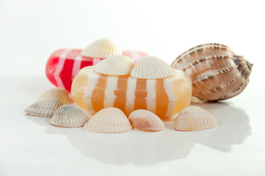 Similar image 840802