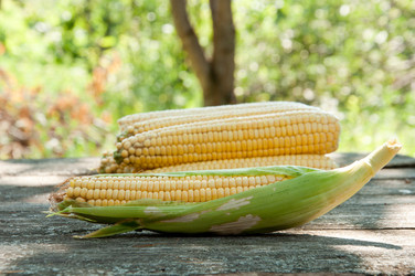 Similar image 840850