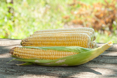 Similar image 840854