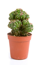 Similar image 840928