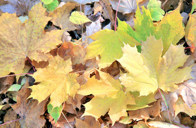 Similar image 841012