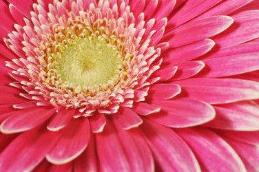 Similar image 841138